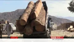 افغان