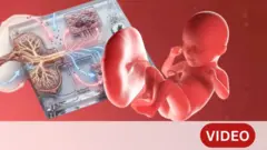 गर्भातील बाळापर्यंत औषध कसं पोहोचतं?
