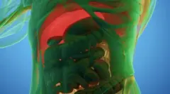 आन्द्रा 