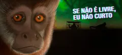 Imagem de um animal silvestre e um fundo preto