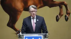 Мадельсон в костюме с галстуком стоит перед микрофонами; пьедестал для микрофонов синего цвета с белыми звездами. На стене за мужчиной — большая картинка, от которой на фотографии видна только нижняя часть лошади.