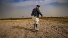 افغانستان