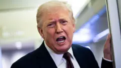 Дональд Трамп говорит что-то журналистам на борту самолета