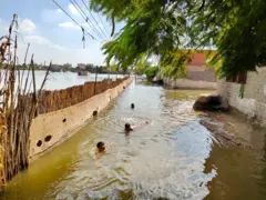 حذر خبراء مصريين من تداعيات غياب التنسيق بين دول المصب في إدارة مياه نهر النيل- تصوير مروة محمود