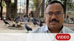 शरद आरगडे