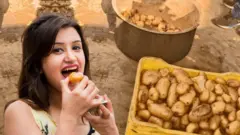  ਗੋਲਗੱਪਾ