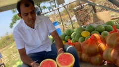 ਰਮਨ ਸਲਾਰੀਆ