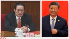 Chiến dịch Đả hổ diệt ruồi của ông Tập Cận Bình đã kết liễu sự nghiệp của nhiều nhân vật cấp cao