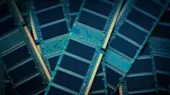 여러 램의 모습