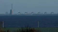Naannawa dhaabbata nikulaaraa 