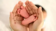 પ્રતીકાત્મક તસવીર