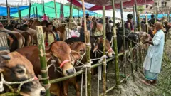 ঢাকার একটি গরুর হাট