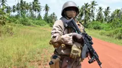 Nigeria Army