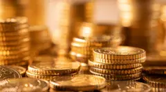 altın para resmi