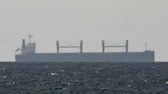 A file pictures of a large ship in the Strait of Hormuz