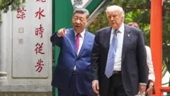 U.S. President Donald Trump and Chinese President Xi Jinping tour the garden of the Zhongnanhai leadership compound in May 2026