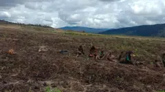 papua