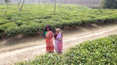 ভেরোনিকা কেরকেট্টা ও ক্রিস্টিনা কেরকেট্টা