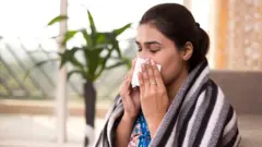 શિયાળો, રોગપ્રતિકારકશક્તિ, સ્વાસ્થ્ય, બીબીસી ગુજરાતી