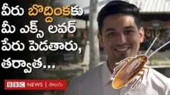 వాలెంటైన్స్ సీజన్ అందరికీ ఫేవరెట్ సీజన్ కాకపోవచ్చు కానీ  ఓ బొద్దింకకు మాజీ ప్రేమికుని పేరు పెట్టడంతో నెగిటివ్ ఎనర్జీ అంతా ఆవిరైపోతుందని కొందరు చెబుతున్నారు. 


