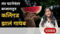 थंबनेल