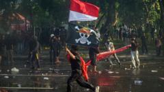 apa-hubungan-bendera-one-piece-di-demonstrasi-nepal-dan-prancis-dengan-indonesia