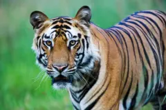 இன்றையச் செய்திகள் 