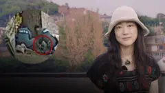 100년 넘은 은행나무 죽어가자... 주민들이 미술관을 고발한 이유