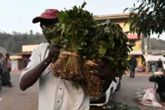 Qaadka Kenya ee loo dhoofiyo Soomaaliya
