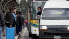 Vehículos dedicados al transporte público en Lima tratan de captar pasajeros en una parada. 