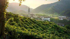 Vista das colinas de Prosecco, com algumas construções esparsas na área de vale