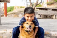 একটি কুকরের মাথার ওপর মুখ ঠেকিয়ে বসে আছে একটি ছেলে শিশু