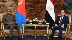 ፕረዚደንት ኢሳይያስ ምስ መራሒ ግብጺ ብዛዕባ እንታይ ዘትዮም?