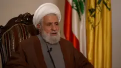 نعيم قاسم نائب الأمين العام لحزب الله