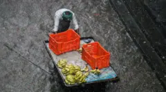 ગુજરાતમાં વરસાદ