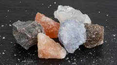 भारतात उत्तराखंड, हिमाचल प्रदेश आणि राजस्थानात सैंधव मीठ सापडतं