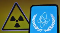 МАГАТЭнин эмблемасы