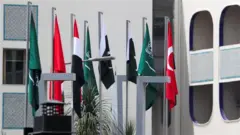 عدد من أعلام الدول العربية