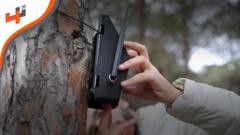 توزيع أجهزة استشعار في الغابات لرصد الأخطار المحتملة