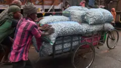 వెల్లుల్లి ధరలు 