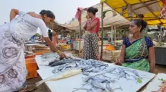 मासेमारी 