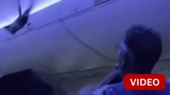 அமெரிக்காவில் விமானத்திற்குள் பறந்த புறா, பதறிய பயணிகள்- என்ன நடந்தது?