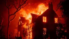  कुछ जगहों पर अभी भी आग पर क़ाबू नहीं पाया जा सका है.