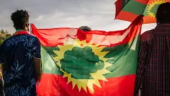 ባንዲራ የያዙ ሰዎች 