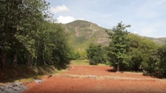 மேகமலை கிராமங்கள், உச்சநீதிமன்றம், தேனி, ஸ்ரீவில்லிபுத்தூர் மேகமலை புலிகள் காப்பகம்
