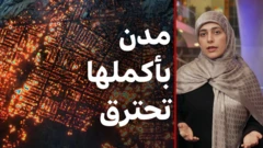 حرائق لوس أنجلوس