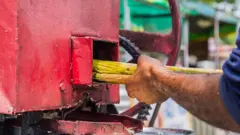 Imagem mostra close em mão masculina colocando cana-de-açúcar em uma máquina de processamento