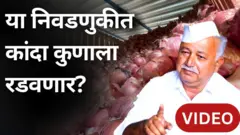 विधानसभा निवडणुकीत कांदा कुणाला रडवणार?