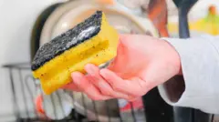 кухонна губка