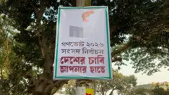 দেশের বিভিন্ন জায়গায় গণভোট নিয়ে প্রচারণা চালাচ্ছে সরকার